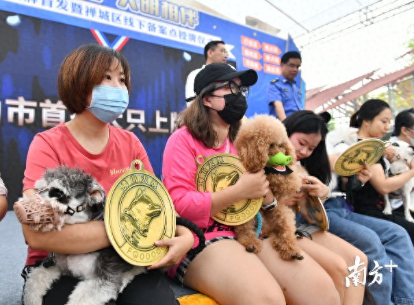 禅城市民在14000块狗牌背后，如何牵牢养宠“文明绳”？